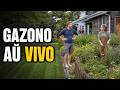 Najbaroj kontraŭ la perfekta gazono – Tubaro