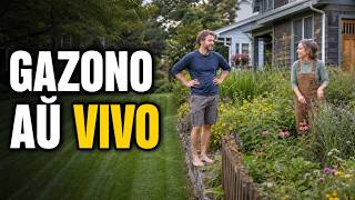 Najbaroj kontraŭ la perfekta gazono