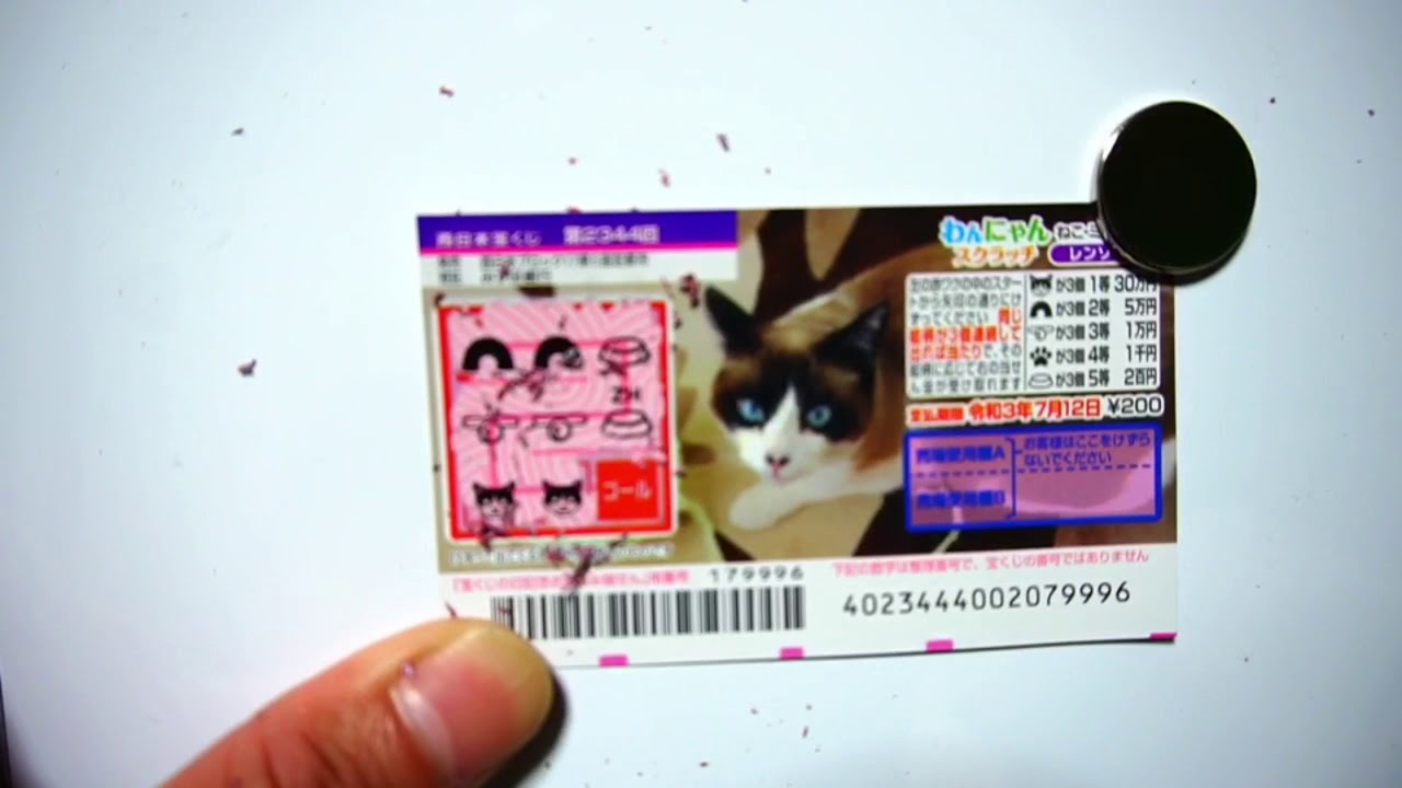 大当たり わんにゃんスクラッチ ドキドキしました 30万円大当たり かと思った瞬間映像 Youtube