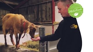 Behind the Scenes: Our Farms