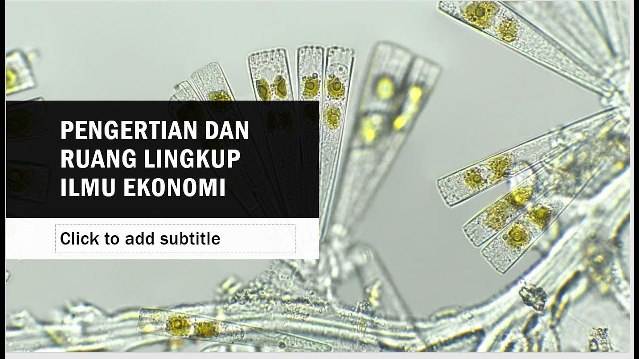 PIE - Pengertian dan Ruang Lingkup Ilmu Ekonomi