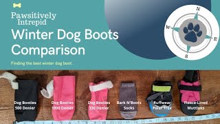 Finding the Best Winter Dog Boots by Pawsitively Intrepid 8,921 views 1 year ago 20 minutes