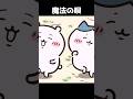 2人の結末・・ #ちいかわ #ハチワレ #Shorts