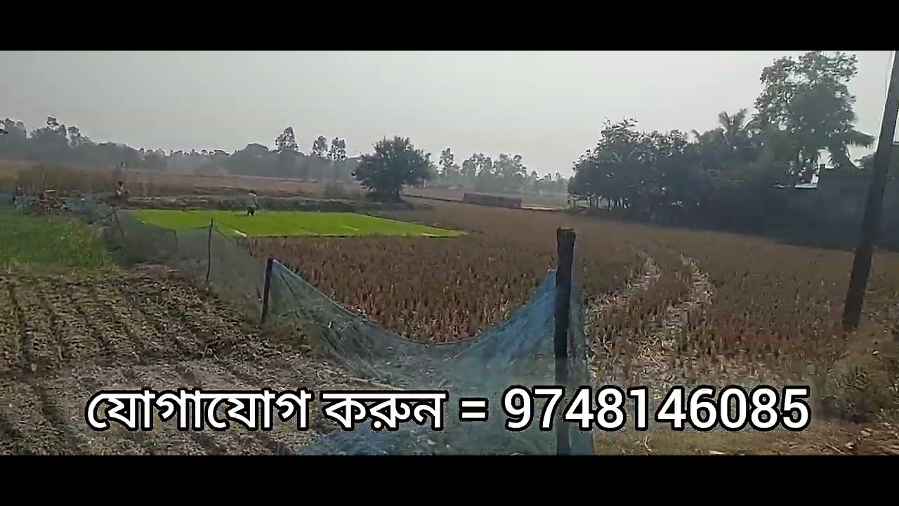 ঝড়খালি সুন্দরবন জায়গার পরিমাণ 5 বিঘা টোটাল দাম 20 লাখ কেউ ইন্টারেস্ট থাকেন যোগাযোগ করুন 9748146085