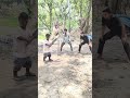 cricket 🏏#trending #instagram #post #viral