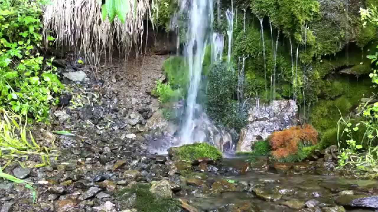 Meditation Film 6 | Видео медитация 6 | Relax video