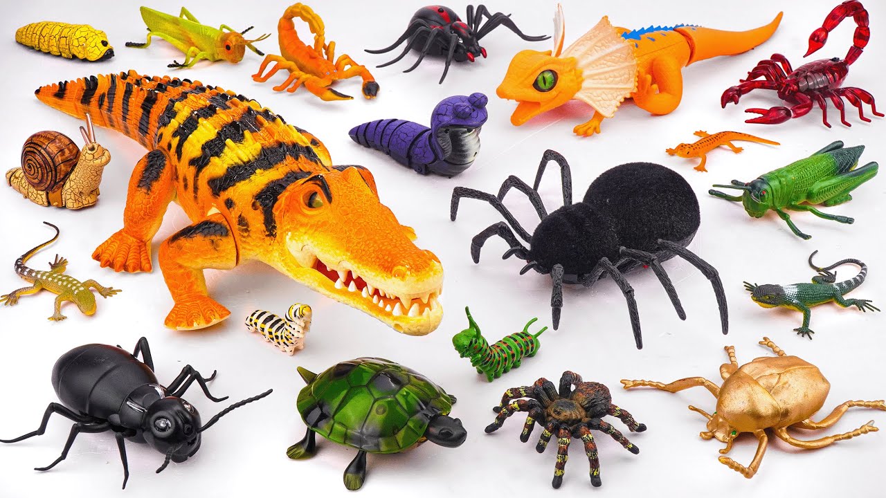 ZURU ROBO ALIVE COLLECTION | UNBOXING Robot Crocodile, New Robo Alive Giant Spider creepers | ASMR
