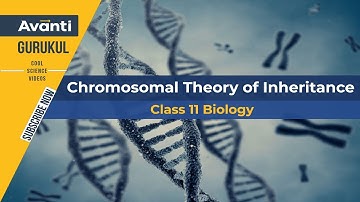 12B05 - Principles of Inheritance and Variation - Chromosomal Theory of Inheritance