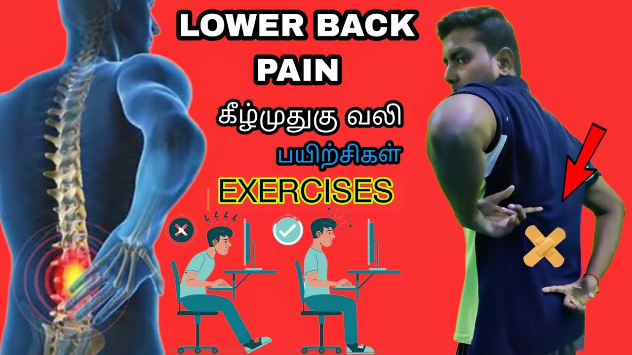 Physiotherapy Exercises For Low Back Pain In Tamil | Manual Therapy | TVK PHYSIOTHERAPY CLINIC