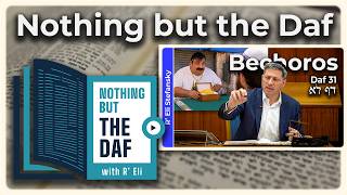 Information CHAZARAH - Bechoros Daf 31 | Nothing but the Daf with R' Eli Stefansky Guide