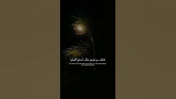 اضاعو الصلاه وتبعو الشهوات Quran 