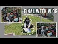 Daily vlog final week   