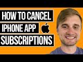 How to Cancel App Subscriptions on iPhone (2024)