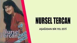 Nursel Tercan / Aşağıdan Bir Yel Esti