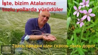 Dmitri POPOZOGLO - Gagauzia'nın Son Tüy Otu