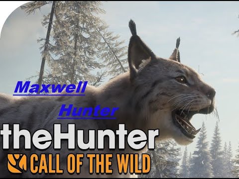 Видео: The hunter call of the wild  Брильянты и Великие за Февраль
