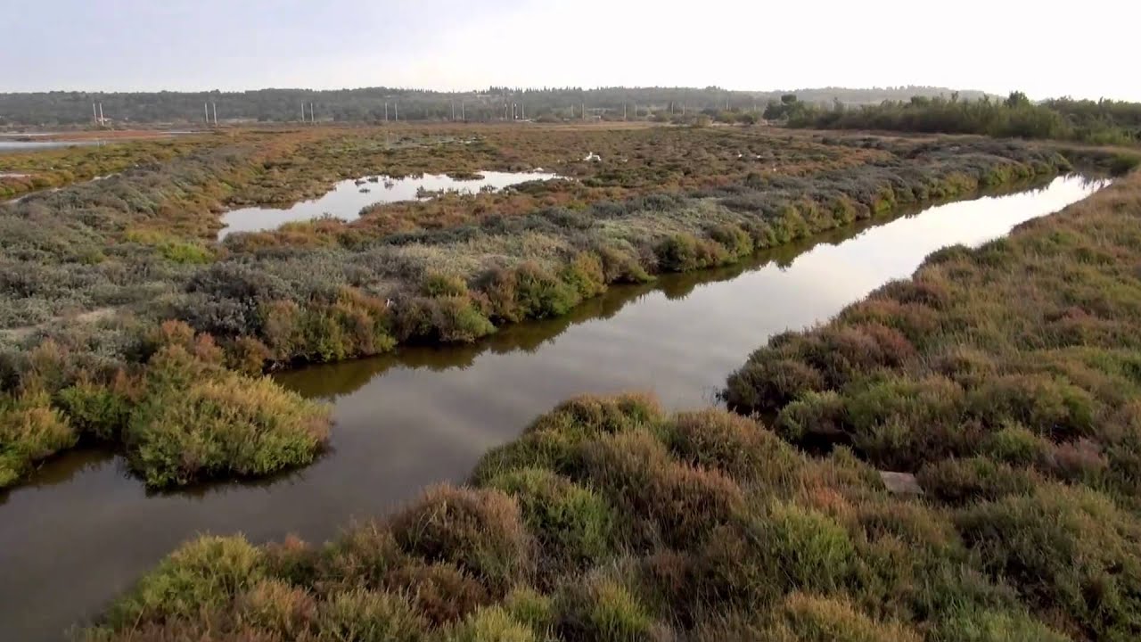 LAG'UNE    Découverte