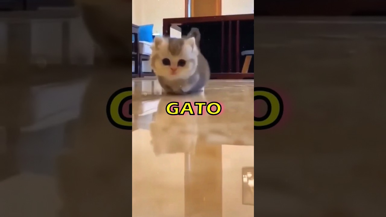 O GATO QUE VIROU ZUMBI! 🧟‍♂️🐱 