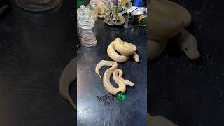 🐍It’s not looking good😕 #molinarosnakelab #snakeeggs #ballpython #royalpython #sarpá #naga #shorts