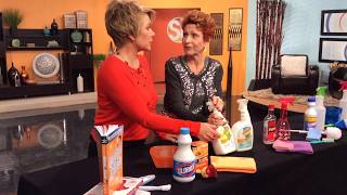 MOLD AND MILDEW - Queen Of Clean on ABC15/Phoenix