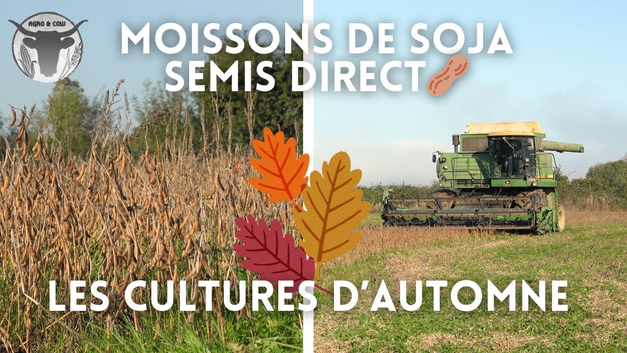 RÉCOLTES D'AUTOMNE & MOISSONS DE SOJA avec la JOHN DEERE 8820 !