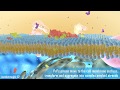 Prion disease animation