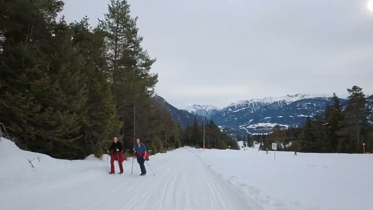 Austria sled and went 