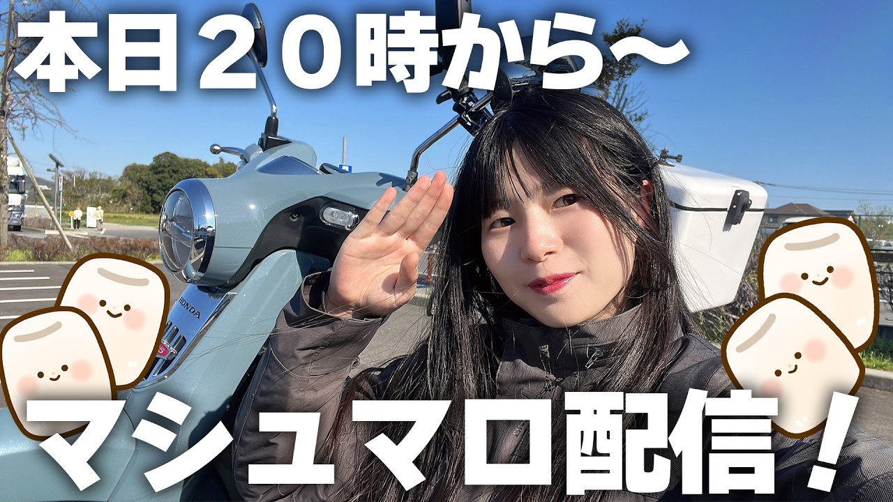 マシュマロ雑談配信！みんなが送ってくれた質問に答えていくよっ！