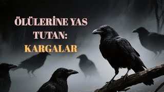 Ölülerine Yas Tutan Kargalar
