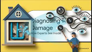 What Every Kenmore Homeowner Needs to Know About Plumbing Failures