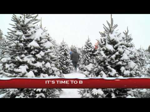 choose-and-cut-your-own-christmas-tree