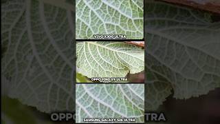 The Best Phone Vivo x300 Ultra vs Samsung galaxy s26 ultra vs oppo find x9 ultra photography Test