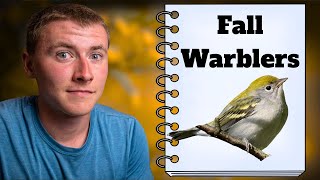 Complete Guide to Identifying Tricky Fall Warblers!