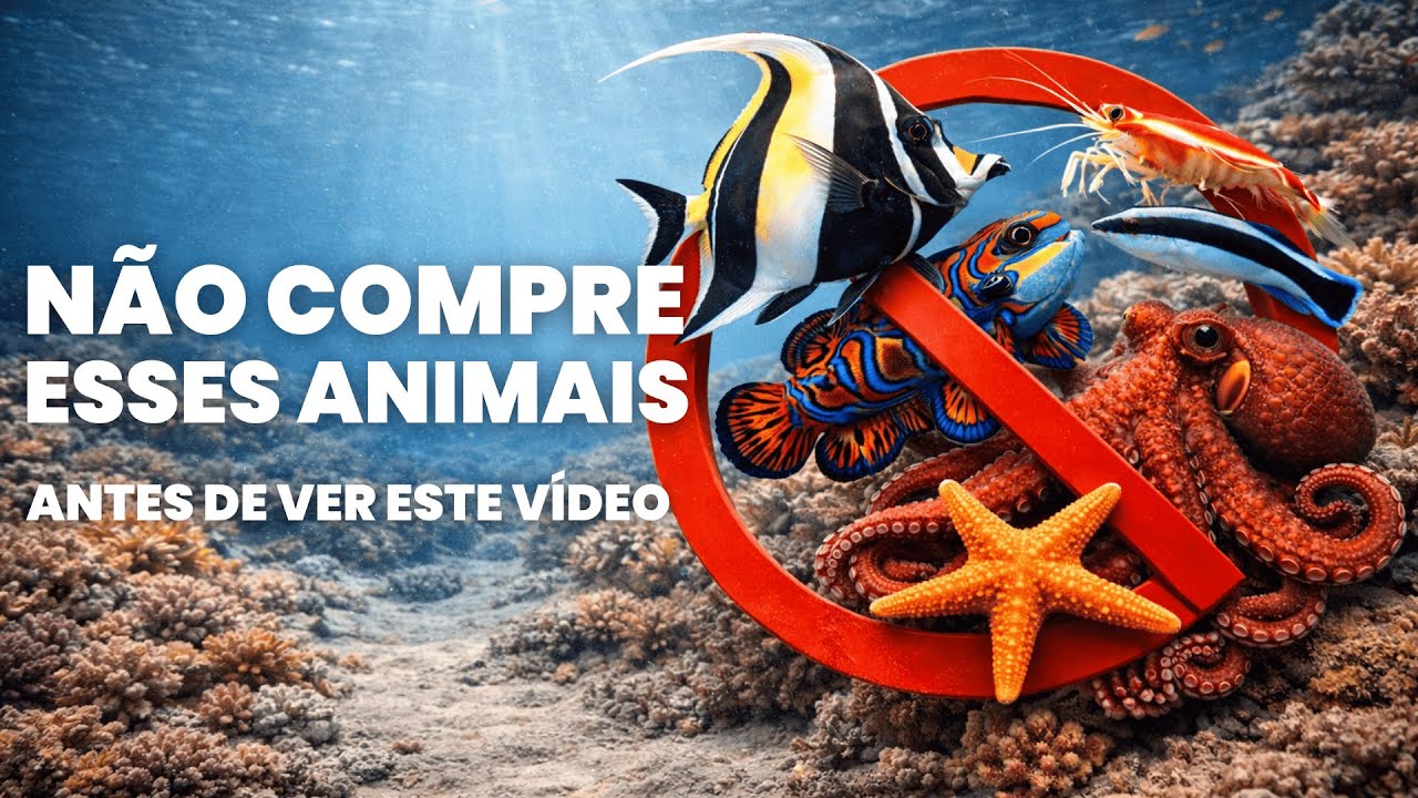 TOP 10 ANIMAIS QUE VOCÊ NÃO 