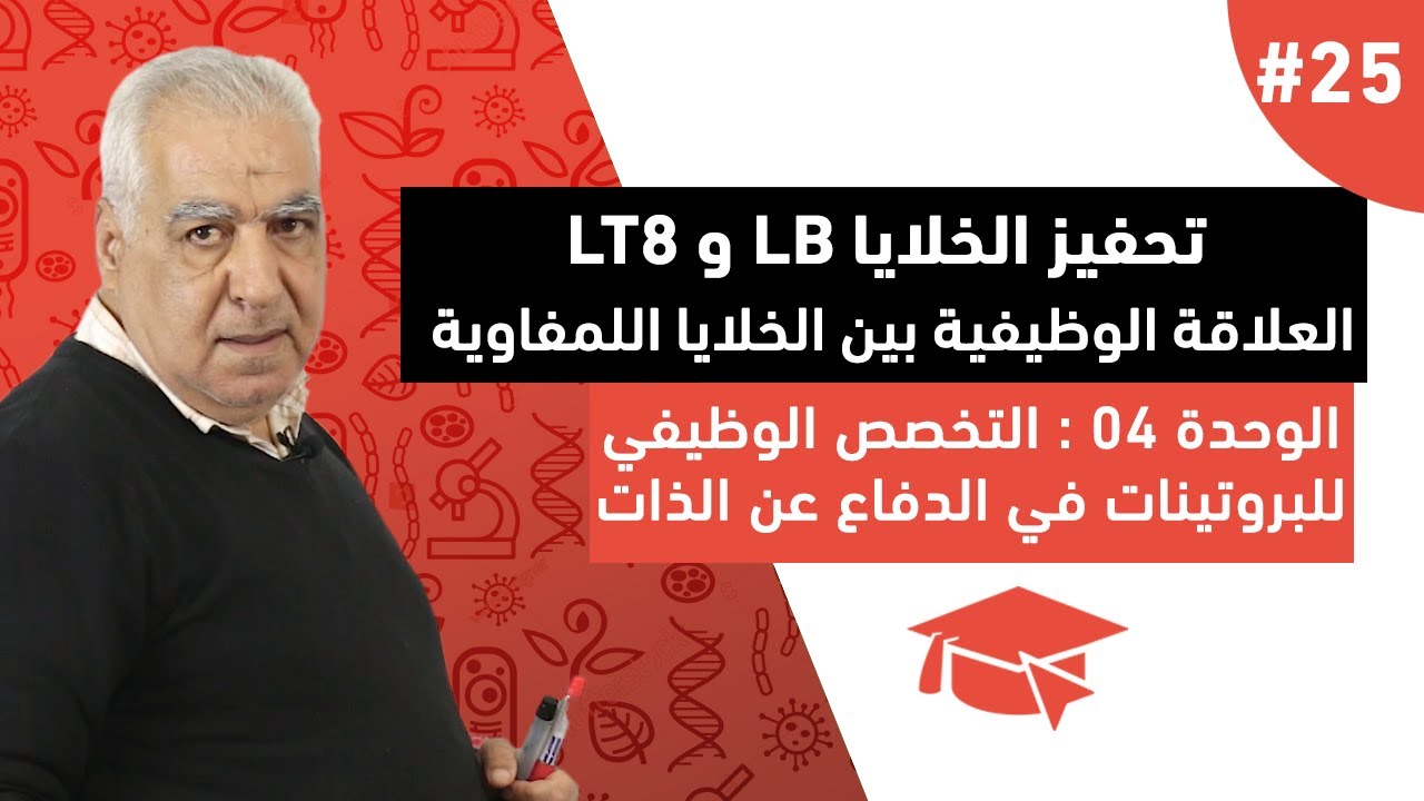 #25 تحفيز الخلايا LB و LT8 : العلاقة الوظيفية بين الخلايا اللمفاوية ( الجزء الثاني )