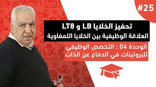 #25 تحفيز الخلايا LB و LT8 : العلاقة الوظيفية بين الخلايا اللمفاوية ( الجزء الثاني )