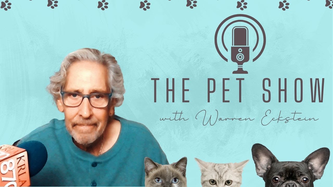 the-pet-show-update-10-7-22-youtube