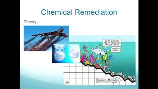 Rebecca Albright - Solutions-Based Approach Coral Reefs Under Ocean Acidification