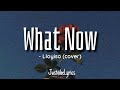 Lloyiso - What Now (Lyrics) 🎶