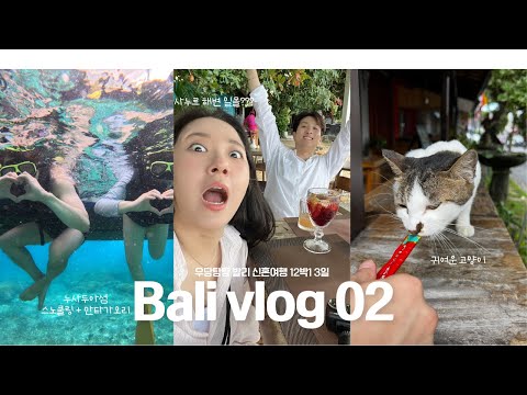 🇲🇨 발리 브이로그 02ㅣ신혼여행ㅣ누사두아 만타가오리 왕창보고오기ㅣ사누르에서우붓으로ㅣ우붓2박3일ㅣ티켓투터문ㅣ비맞으면서 ATV 체험하기ㅣ우붓라멘맛집찾음🍜