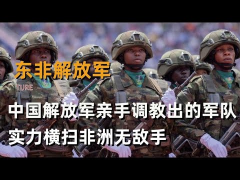 中国解放军亲手调教的军队,实力横扫整个非洲,坦桑尼亚军究竟多强