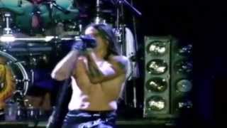 Red Hot Chili Peppers - Backwoods (Live)