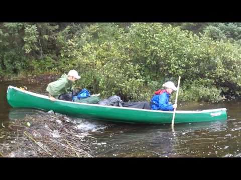 Algonquin Park Canoe Trip Beaver Dam - Jeff & Britt