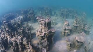 Palaces of Microbialites