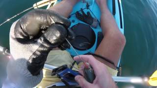 Bridle Rig Setup