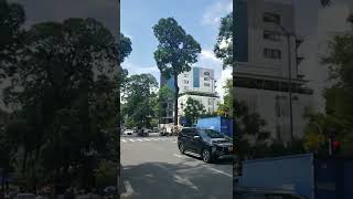 Sài Gòn , Đường Phạm Ngọc Thạch Vs Nguyễn Thị Minh Khai Q3 . Đường Phố Con Người Tv9