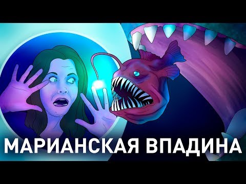 Что находится на дне Марианской впадины?