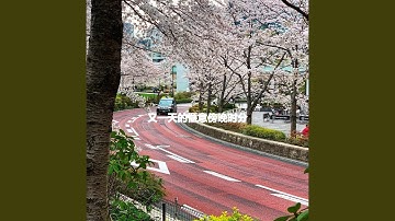 Phenomenal Moods for Focus Options