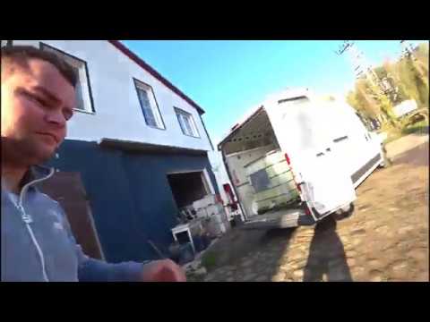 #15 Доставка рыбы
