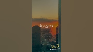 ولكل أمة أجل #سورة_الأعراف #القرآن_الكريم #فارس_عباد #اكسبلور #راحة_نفسية #لايك #تلاوات #تلاوة_خاشعة